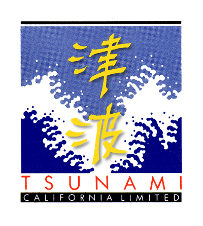 Tsunami Surfboards